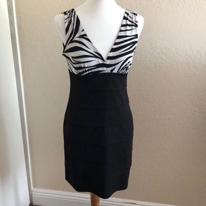 🦓wild night out dress🦓